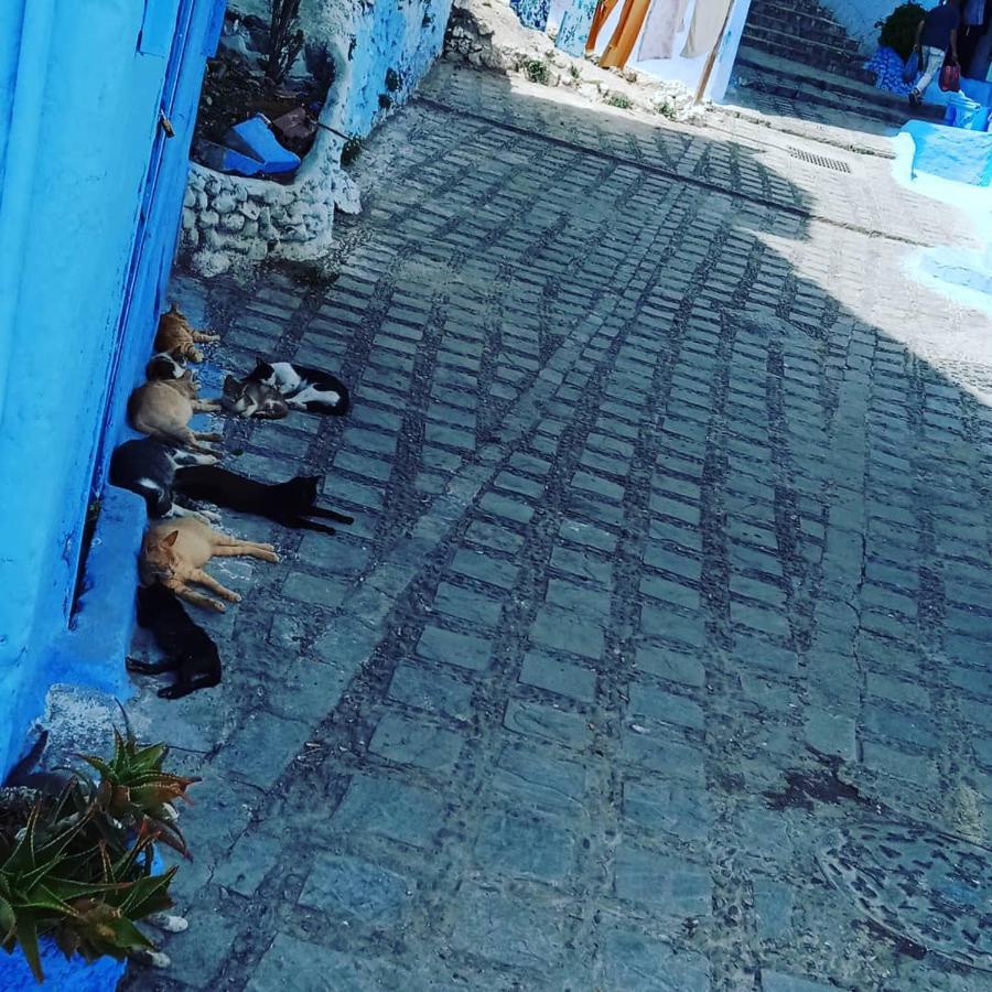 Casa Mablu Daire Şafşavan Dış mekan fotoğraf